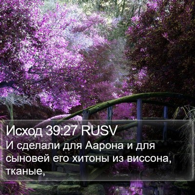 Исход 39:27 RUSV Bible Verse Image