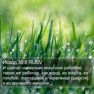 Исход 39:8 RUSV Bible Verse Image