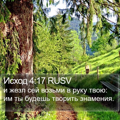 Исход 4:17 RUSV Bible Verse Image