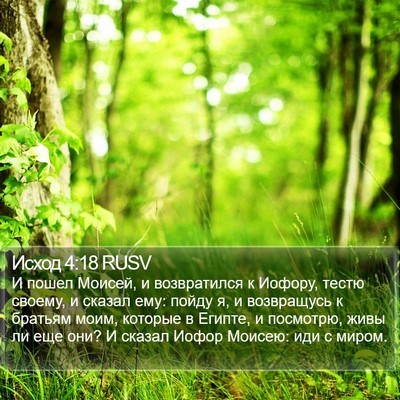 Исход 4:18 RUSV Bible Verse Image