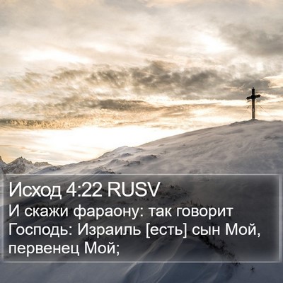 Исход 4:22 RUSV Bible Verse Image