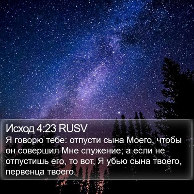Исход 4:23 RUSV Bible Verse Image