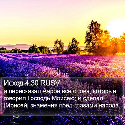 Исход 4:30 RUSV Bible Verse Image