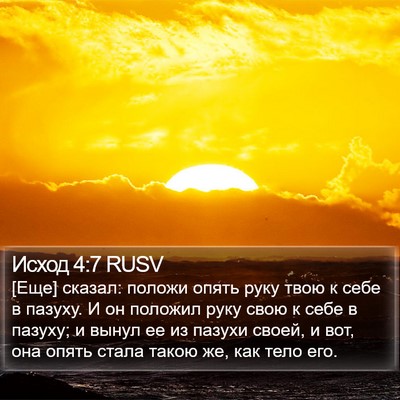 Исход 4:7 RUSV Bible Verse Image