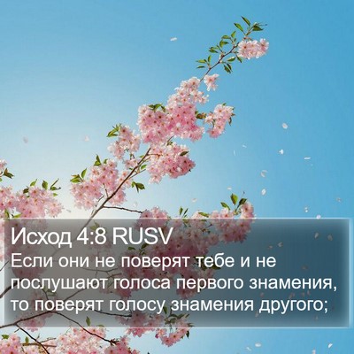Исход 4:8 RUSV Bible Verse Image
