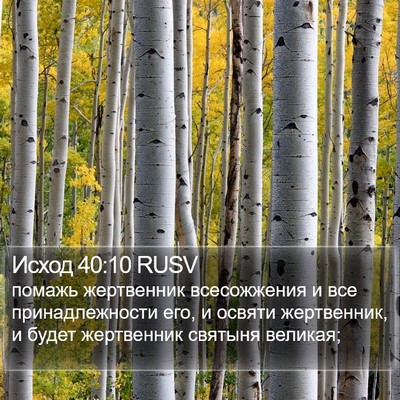 Исход 40:10 RUSV Bible Verse Image