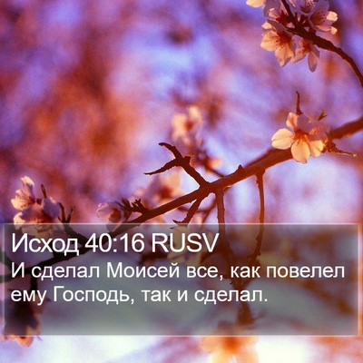 Исход 40:16 RUSV Bible Verse Image
