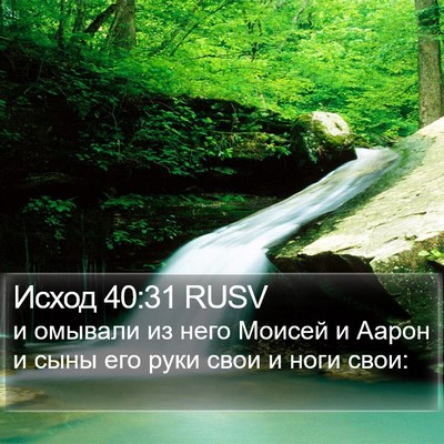 Исход 40:31 RUSV Bible Verse Image