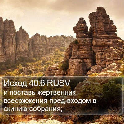 Исход 40:6 RUSV Bible Verse Image