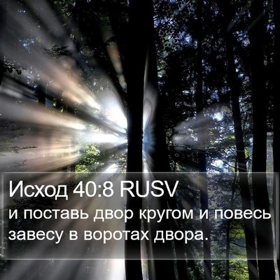 Исход 40:8 RUSV Bible Verse Image