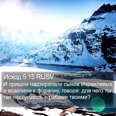 Исход 5:15 RUSV Bible Verse Image