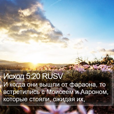 Исход 5:20 RUSV Bible Verse Image