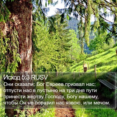 Исход 5:3 RUSV Bible Verse Image