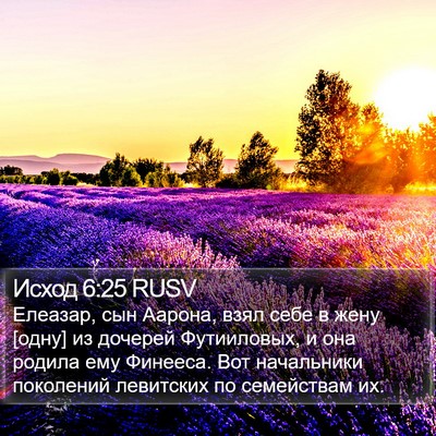 Исход 6:25 RUSV Bible Verse Image