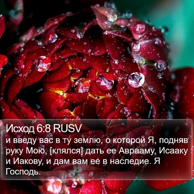 Исход 6:8 RUSV Bible Verse Image