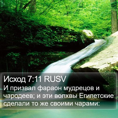 Исход 7:11 RUSV Bible Verse Image