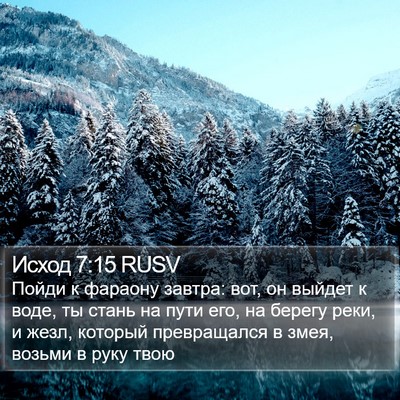 Исход 7:15 RUSV Bible Verse Image