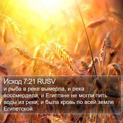 Исход 7:21 RUSV Bible Verse Image