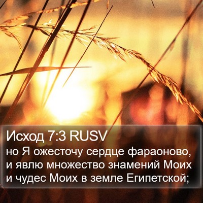 Исход 7:3 RUSV Bible Verse Image