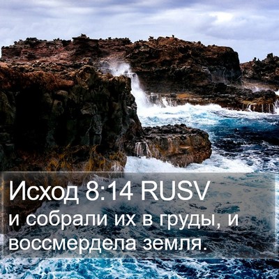 Исход 8:14 RUSV Bible Verse Image