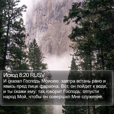 Исход 8:20 RUSV Bible Verse Image