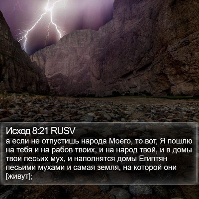 Исход 8:21 RUSV Bible Verse Image