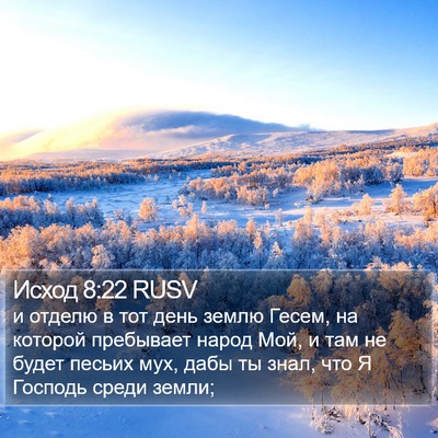 Исход 8:22 RUSV Bible Verse Image