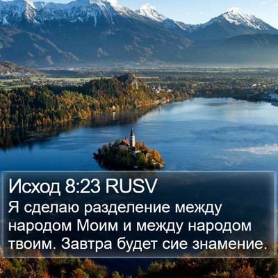 Исход 8:23 RUSV Bible Verse Image