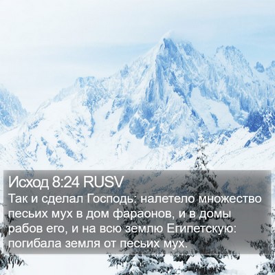 Исход 8:24 RUSV Bible Verse Image