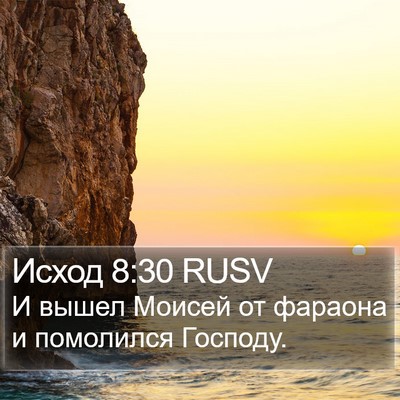 Исход 8:30 RUSV Bible Verse Image