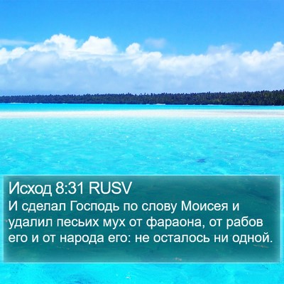 Исход 8:31 RUSV Bible Verse Image