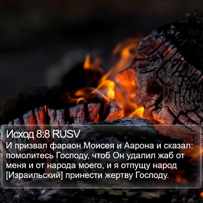 Исход 8:8 RUSV Bible Verse Image