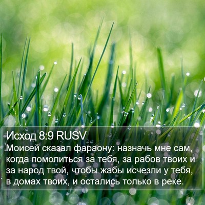 Исход 8:9 RUSV Bible Verse Image