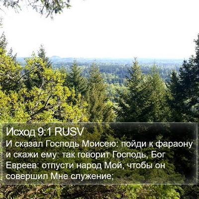 Исход 9:1 RUSV Bible Verse Image