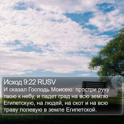 Исход 9:22 RUSV Bible Verse Image