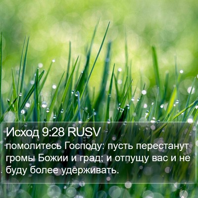 Исход 9:28 RUSV Bible Verse Image