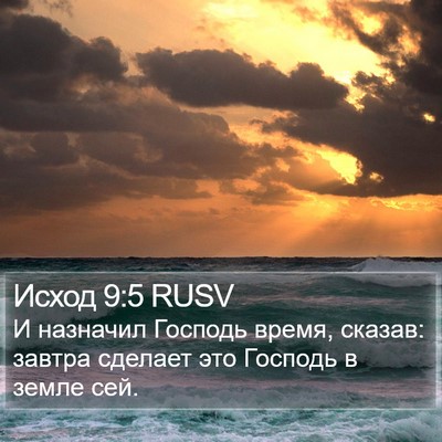 Исход 9:5 RUSV Bible Verse Image