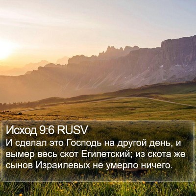 Исход 9:6 RUSV Bible Verse Image