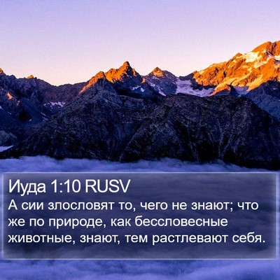 Иуда 1:10 RUSV Bible Verse Image