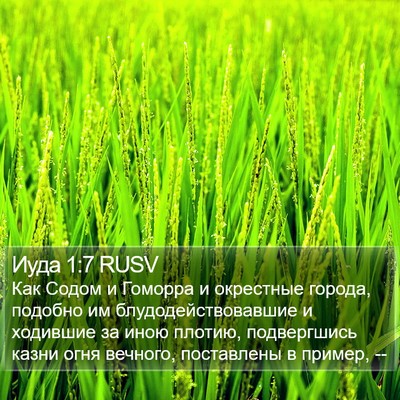 Иуда 1:7 RUSV Bible Verse Image