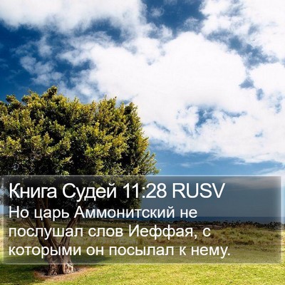 Книга Судей 11:28 RUSV Bible Verse Image