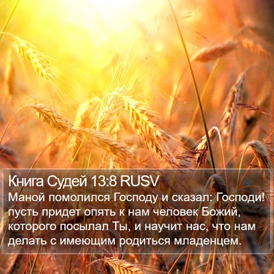 Книга Судей 13:8 RUSV Bible Verse Image