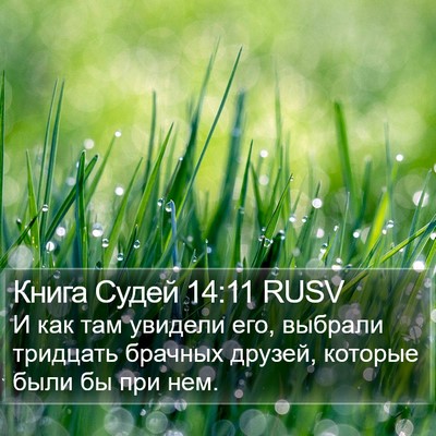 Книга Судей 14:11 RUSV Bible Verse Image