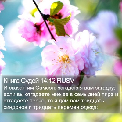 Книга Судей 14:12 RUSV Bible Verse Image
