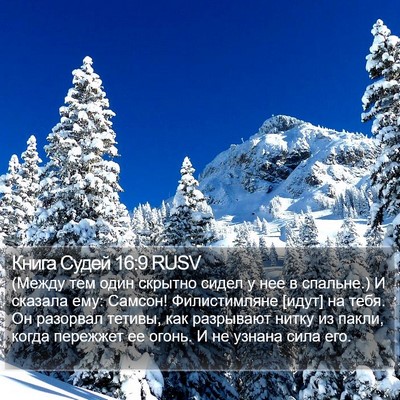 Книга Судей 16:9 RUSV Bible Verse Image