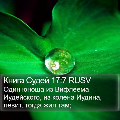 Книга Судей 17:7 RUSV Bible Verse Image