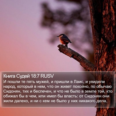 Книга Судей 18:7 RUSV Bible Verse Image