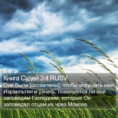 Книга Судей 3:4 RUSV Bible Verse Image