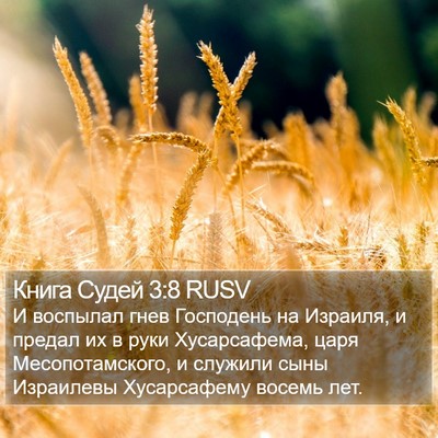 Книга Судей 3:8 RUSV Bible Verse Image