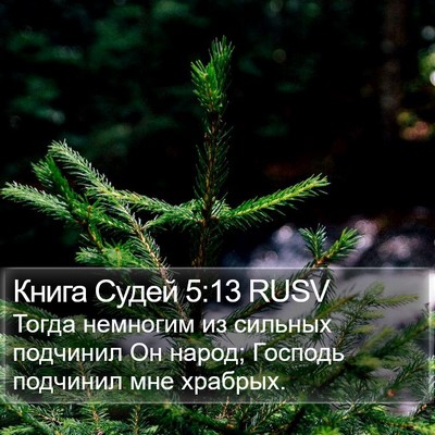 Книга Судей 5:13 RUSV Bible Verse Image